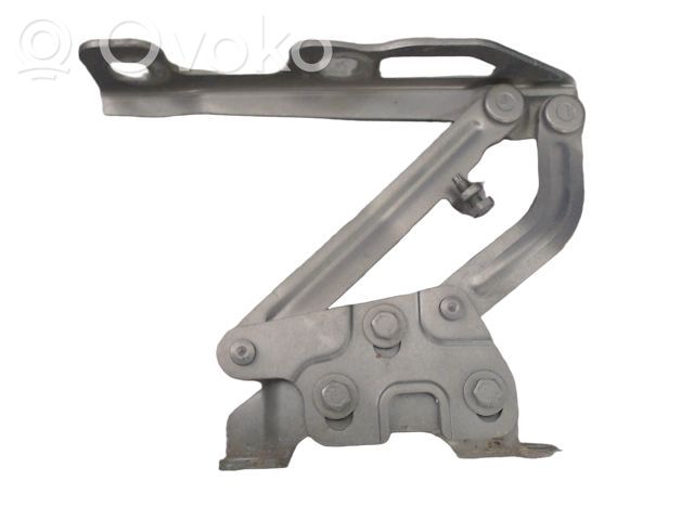 Engine bonnet/hood hinges   13311902,13311902,6802005024451P
