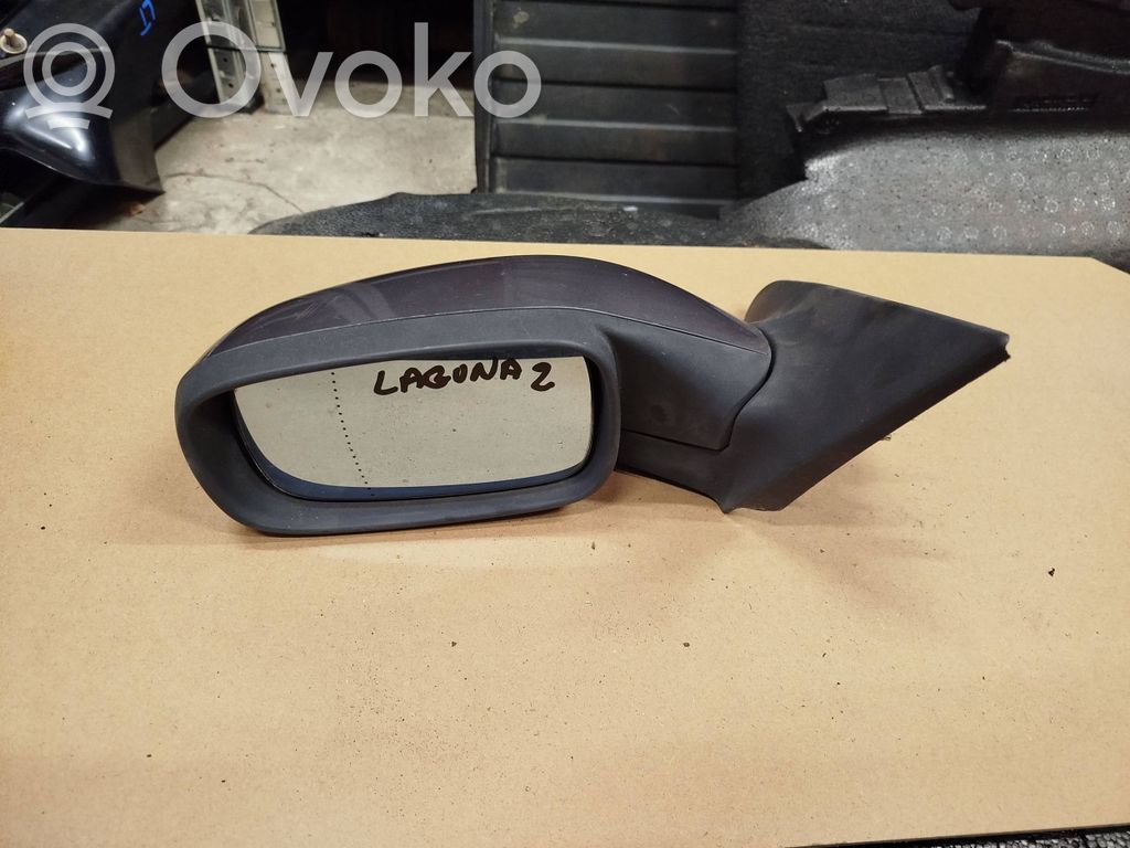 Renault Laguna II Front door electric wing mirror 