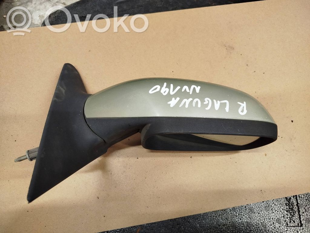 Renault Laguna II Front door electric wing mirror 