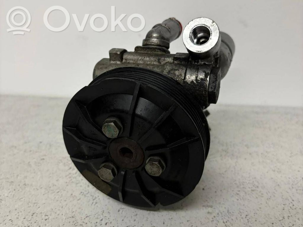 Power steering pump   676996003,7696974123