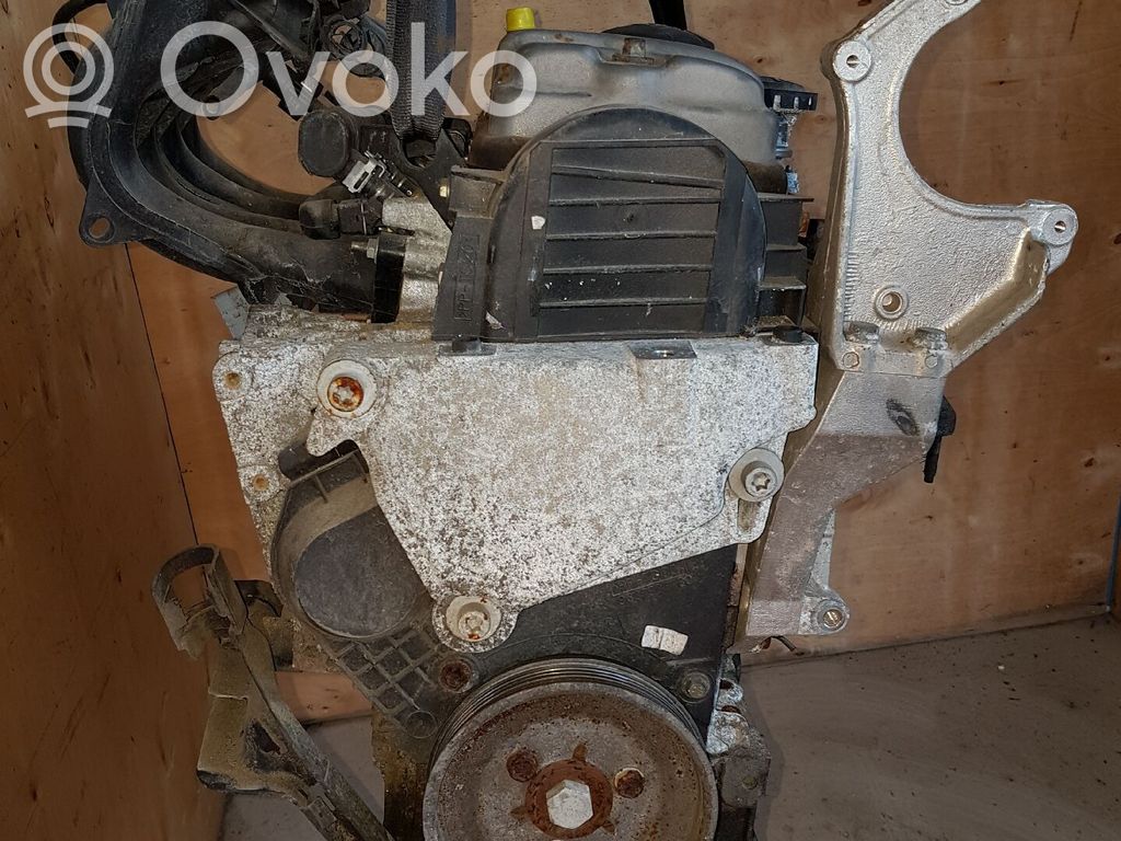 Variklis   135FA