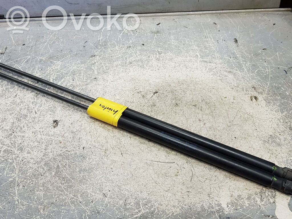 Ford Focus Amortizatorius galinio dangčio 