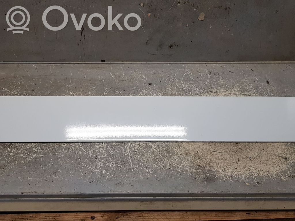 Listwa tylnego błotnika   5205091,4493694