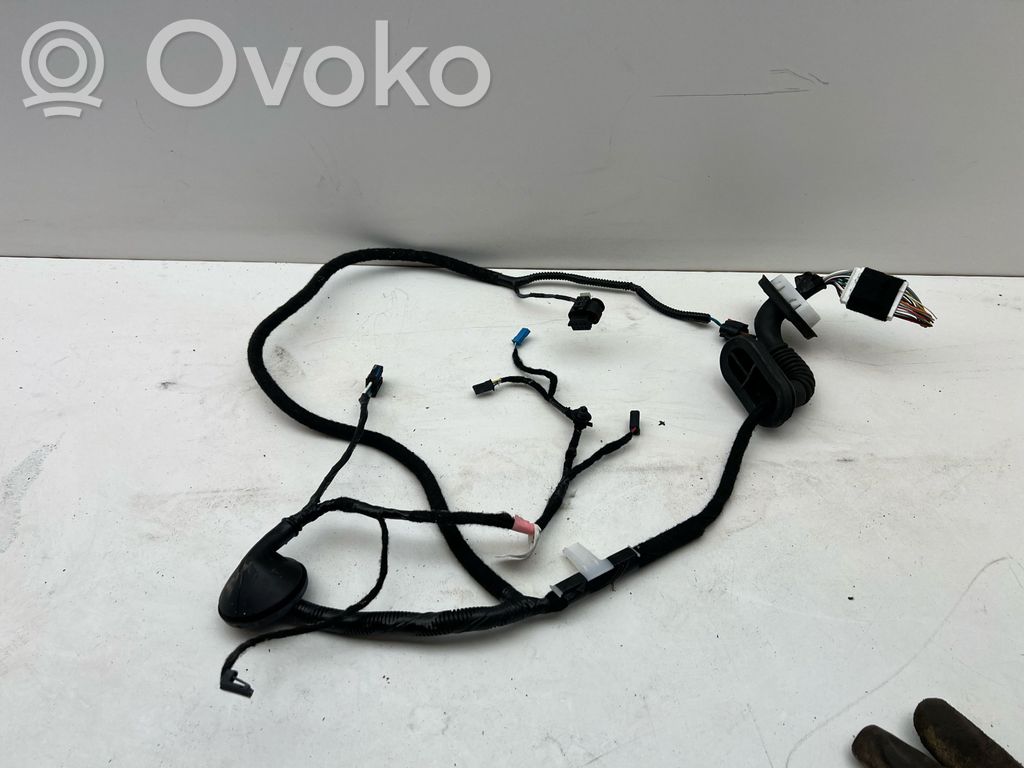Cableado de puerta trasera   109880500B