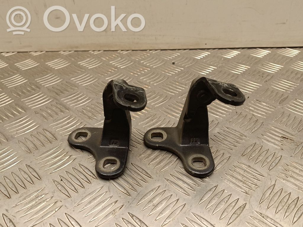 Tesla Model Y Front door hinge set 