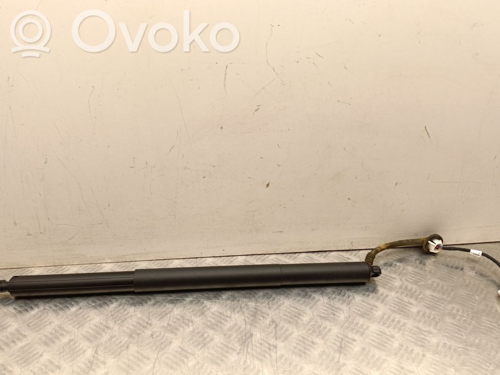 Tailgate/trunk strut/damper   150060100A