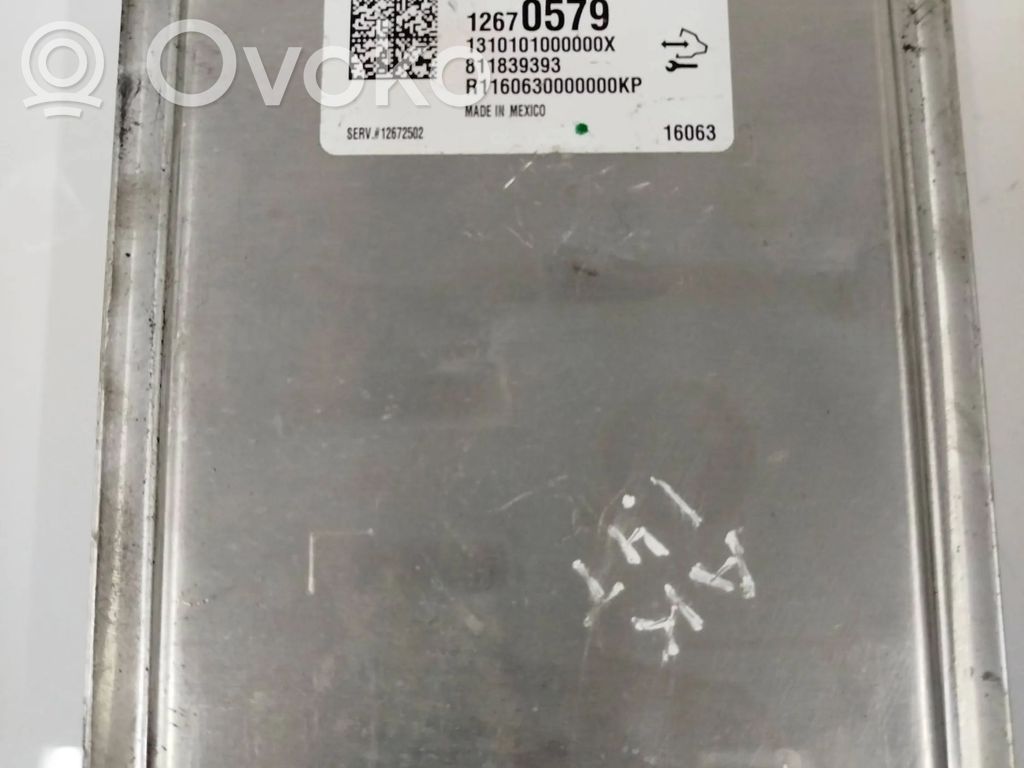 Engine control unit/module   12670579,811839393,1310101000000X