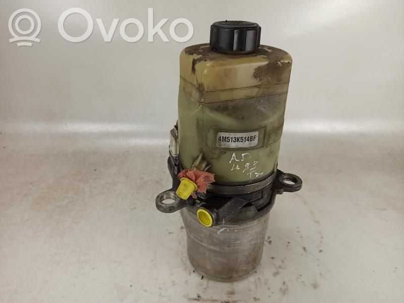 Ohjaustehostimen pumppu   1743471,DPN1195