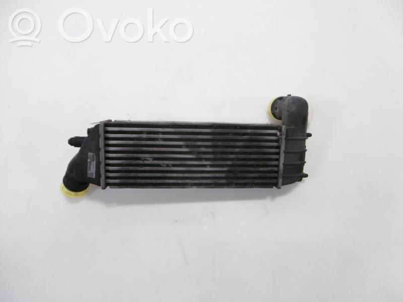 Interkūlerio radiatorius   00000384G0