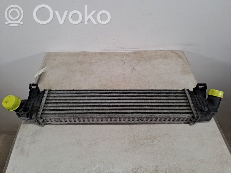 Intercooler radiator   1746975