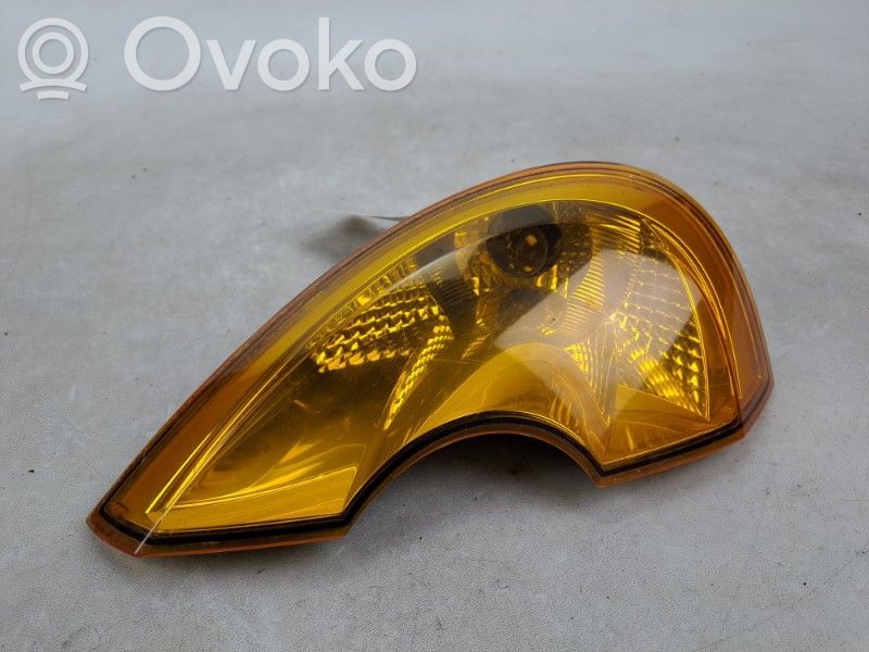 Front fender indicator light