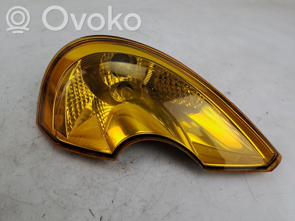 Renault Modus Seitenblinker 