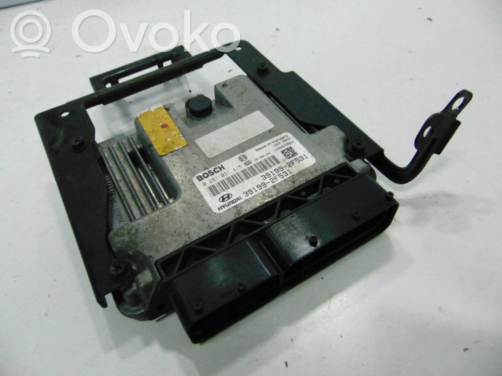 Engine control unit/module ECU   391992F531