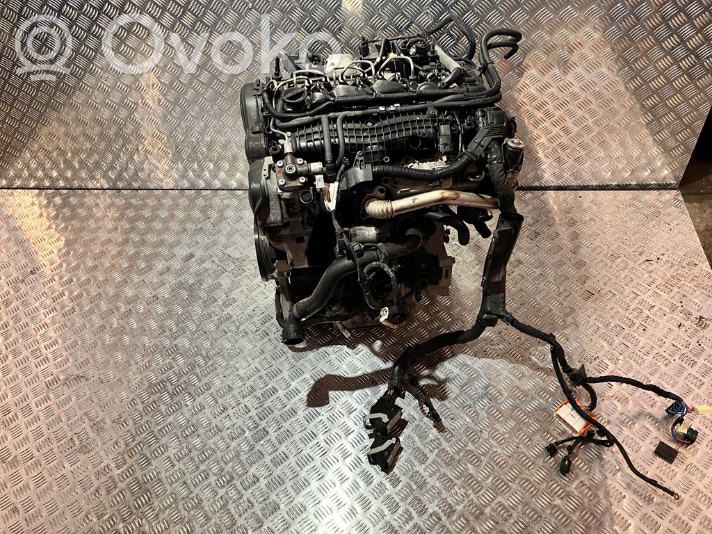 Motor