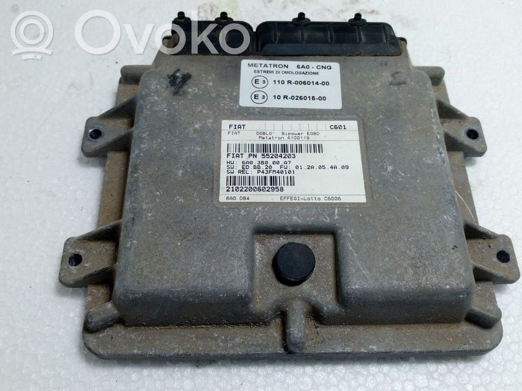 Engine control unit/module   55204203,55204203