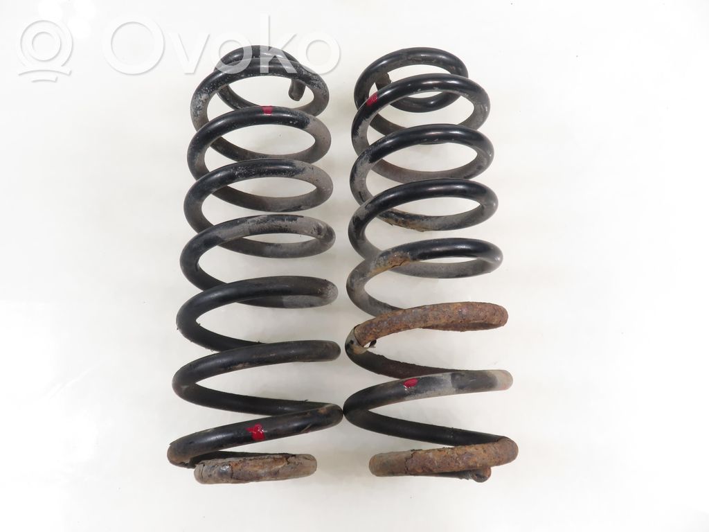 Rear coil spring