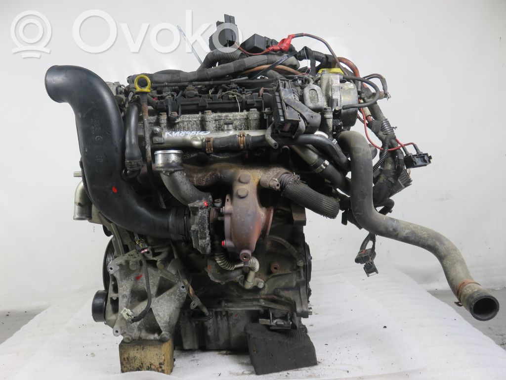 Motor