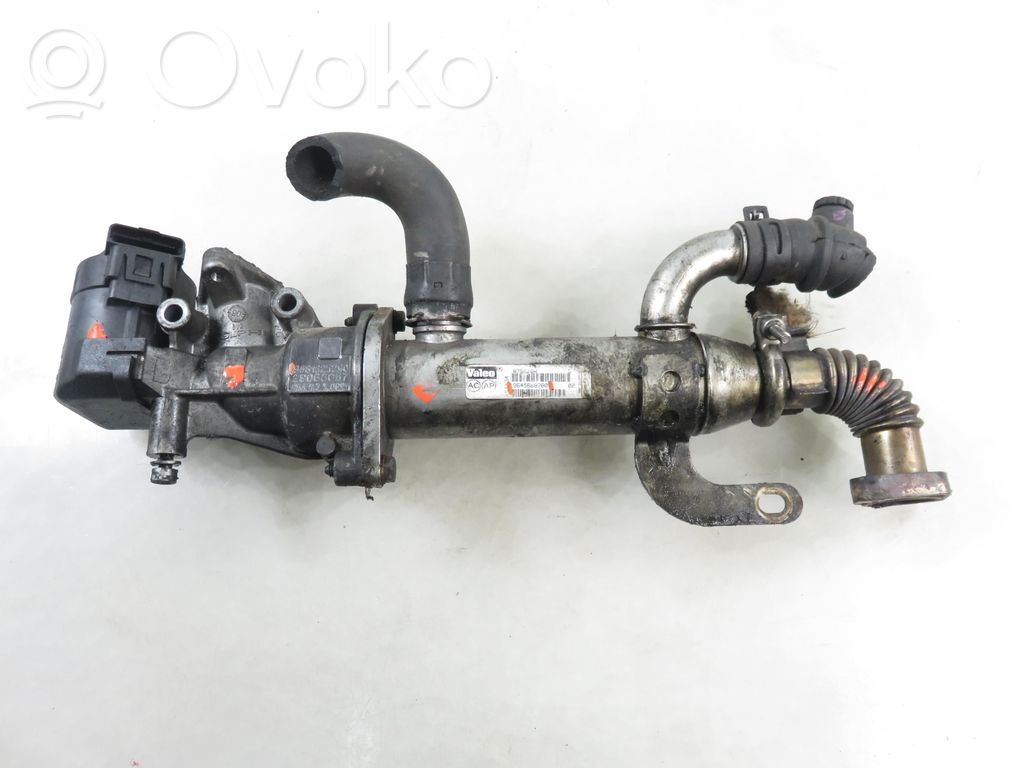 Peugeot 307 Válvula EGR 