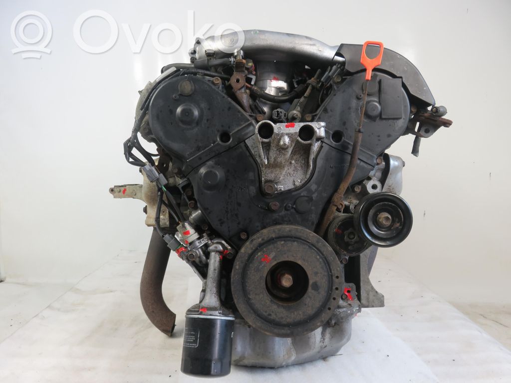 Honda Accord Motor 
