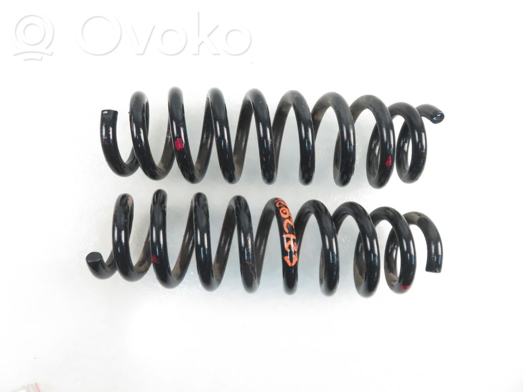 Rear coil spring