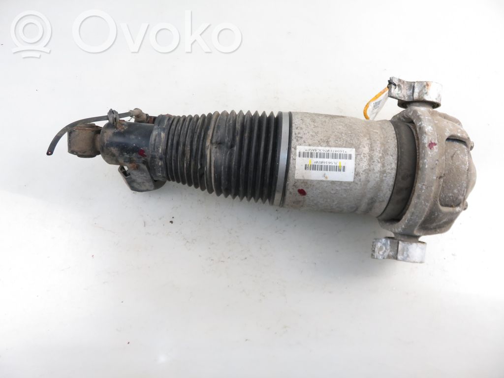Porsche Cayenne (9PA) Butelie suspensie pneumatică spate/amortizor 
