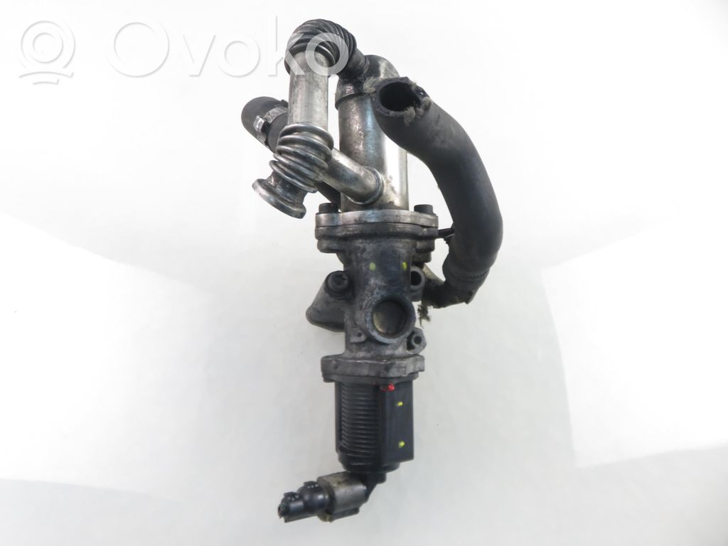 Fiat Punto (199) Válvula EGR 