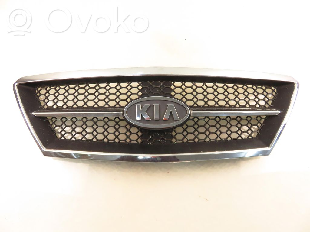 Rejilla delantera   863503E010,863503E010
