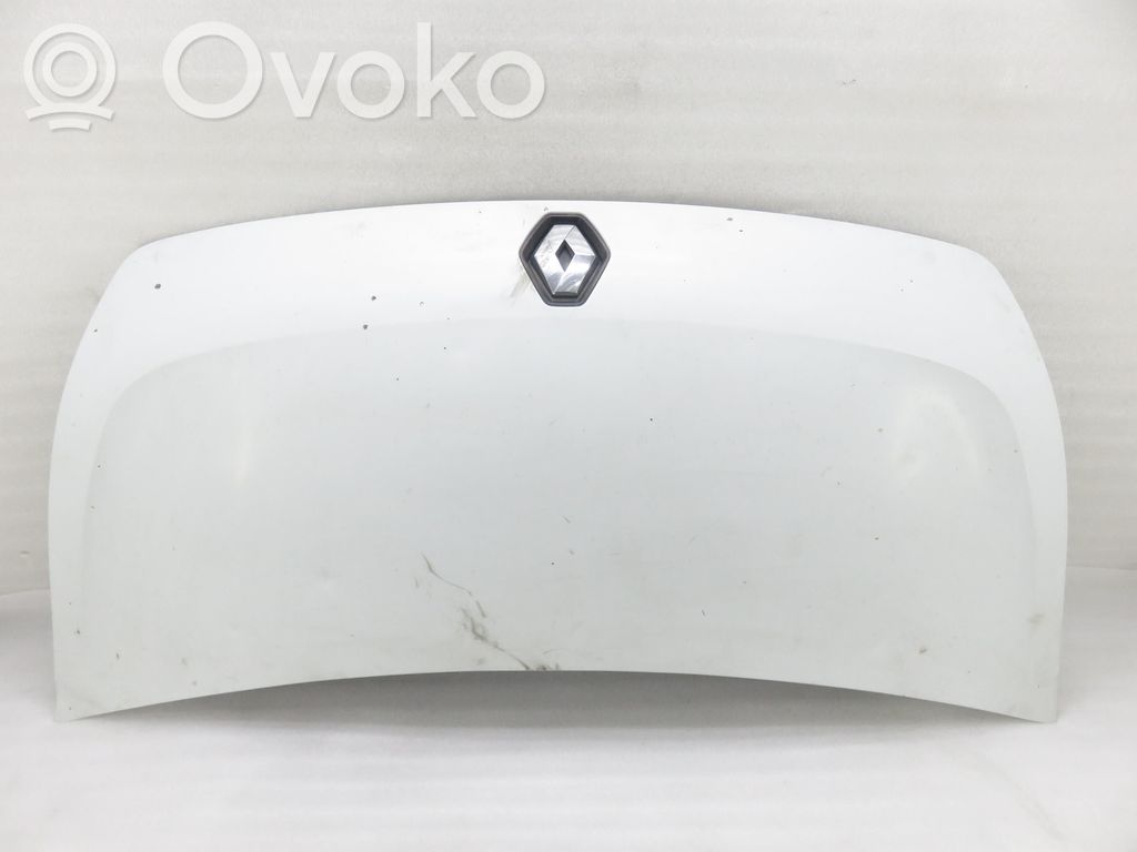 Engine bonnet/hood