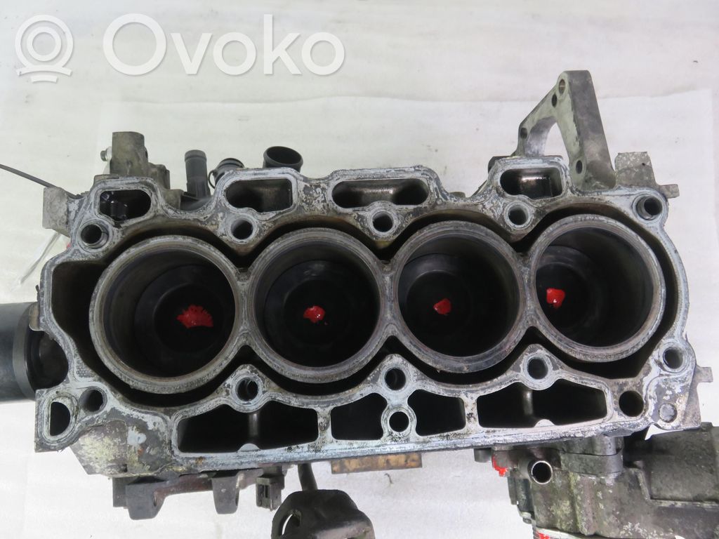 Ford Focus Blokas 