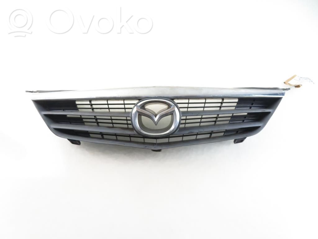 Atrapa chłodnicy / Grill