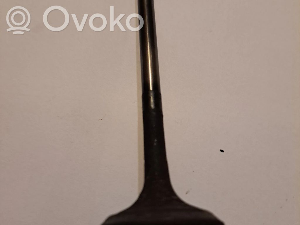 Válvula   ED6