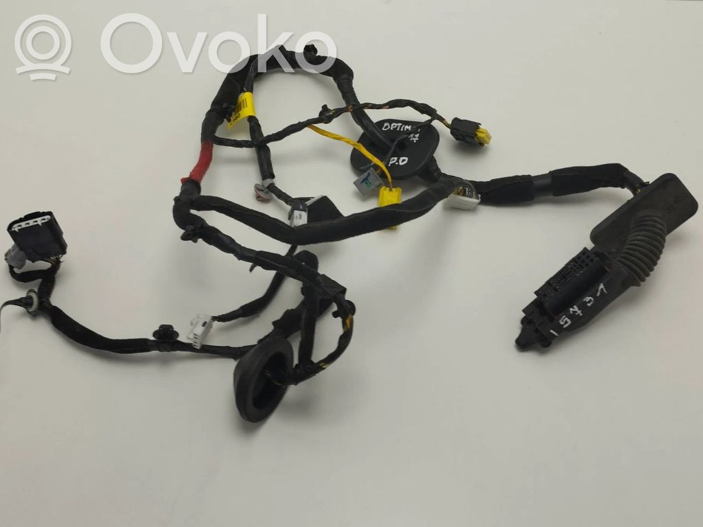 KIA Optima Cableado de puerta delantera 
