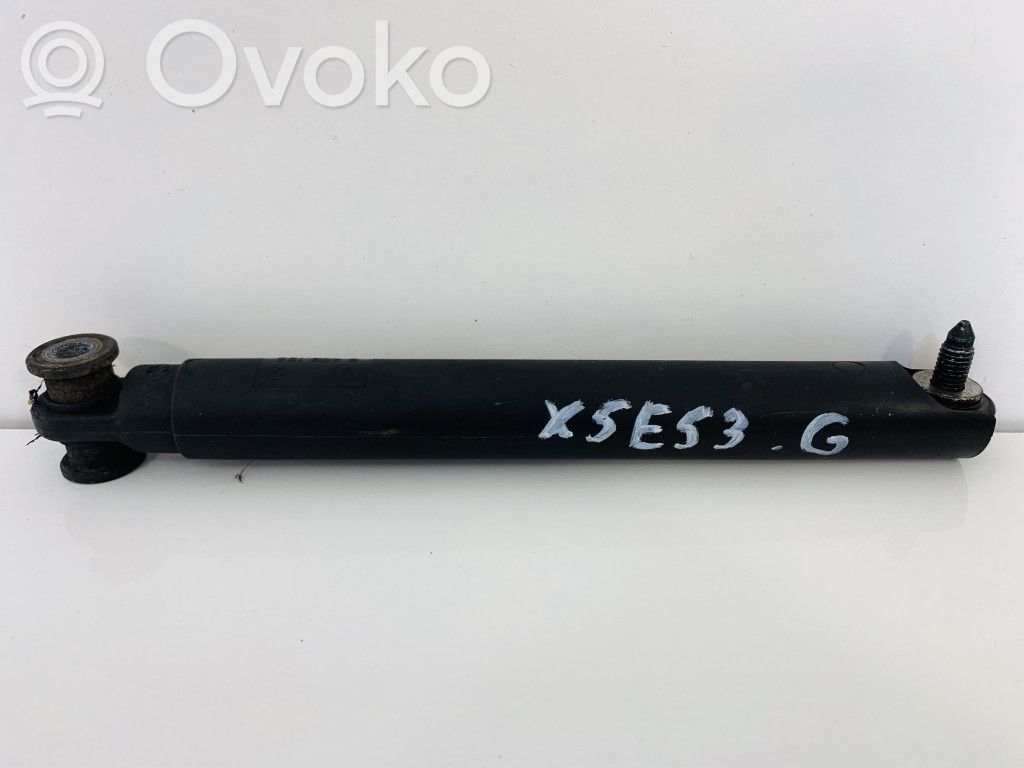 Tailgate/trunk strut/damper   8402195