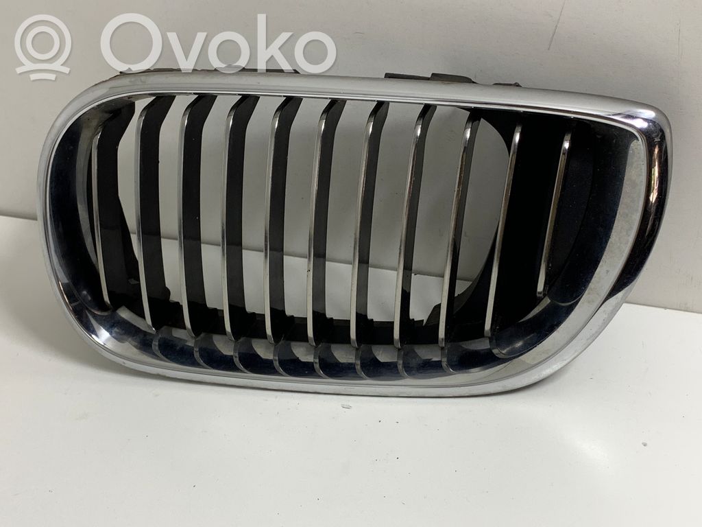 BMW 3 E46 Oberes Gitter vorne 