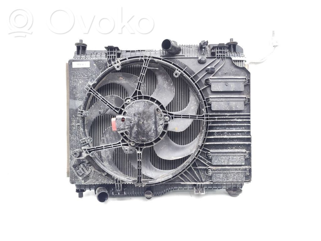 Ford Puma Kit Radiateur