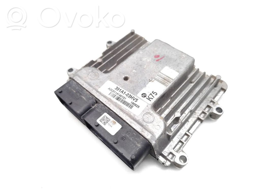Hyundai Ioniq Engine control unit/module 