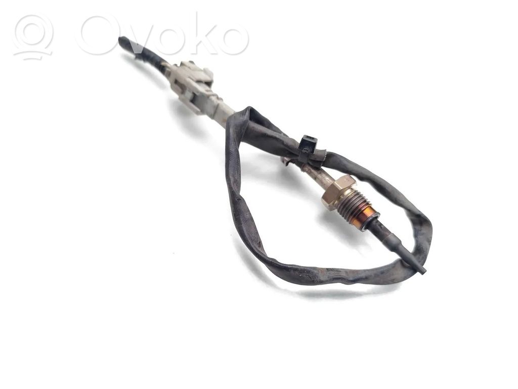 KIA Niro Abgastemperatursensor 