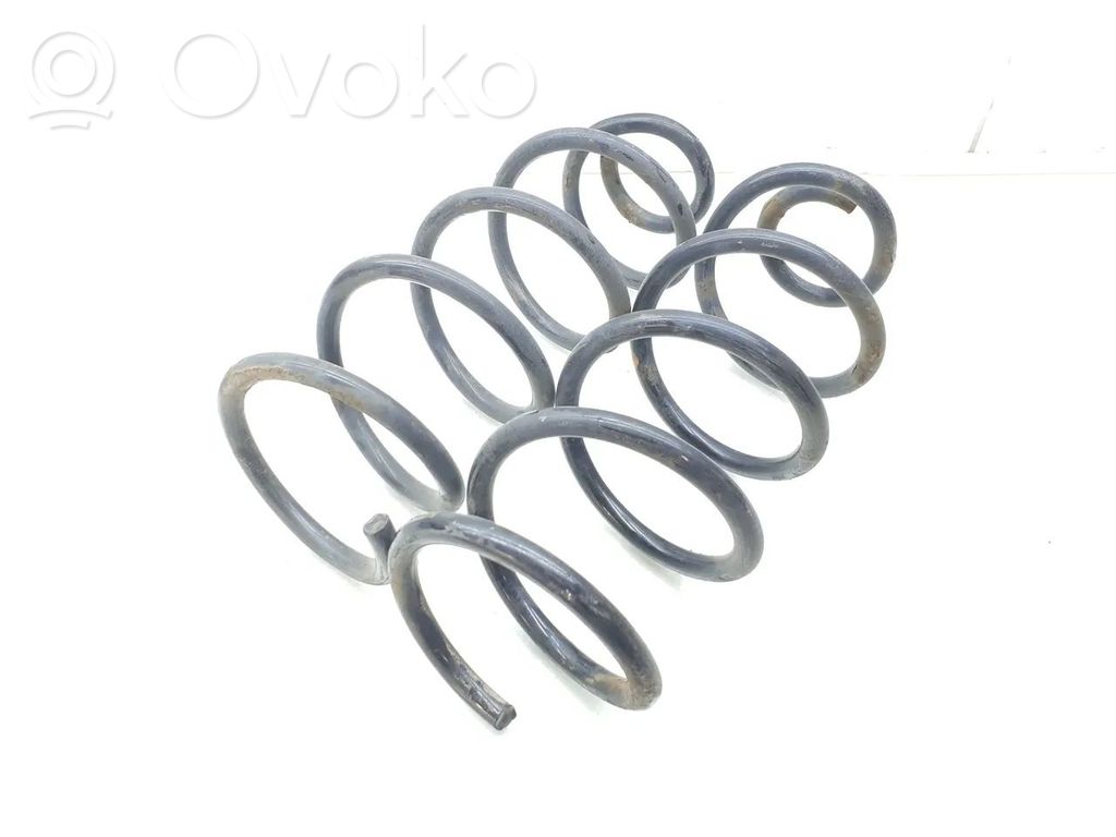 Rear coil spring
