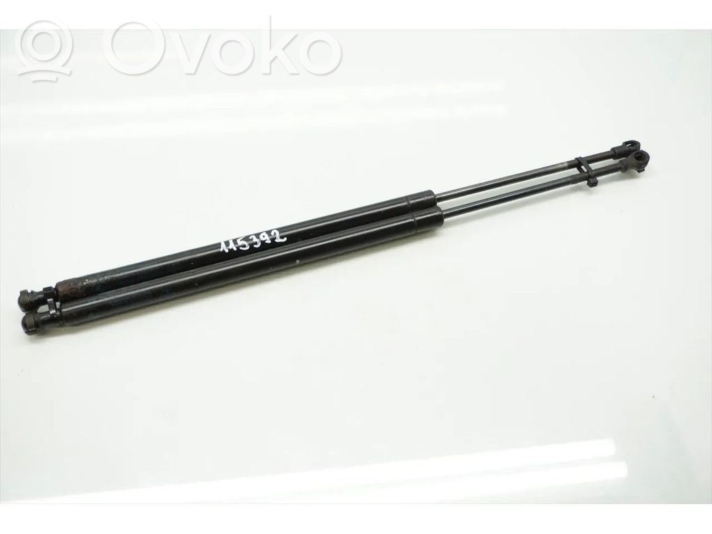 Tailgate/trunk strut/damper   8402405