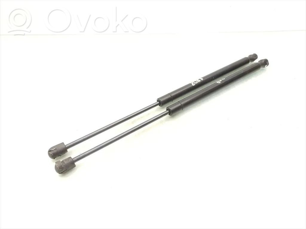 Dodge Caliber Tailgate/trunk strut/damper 