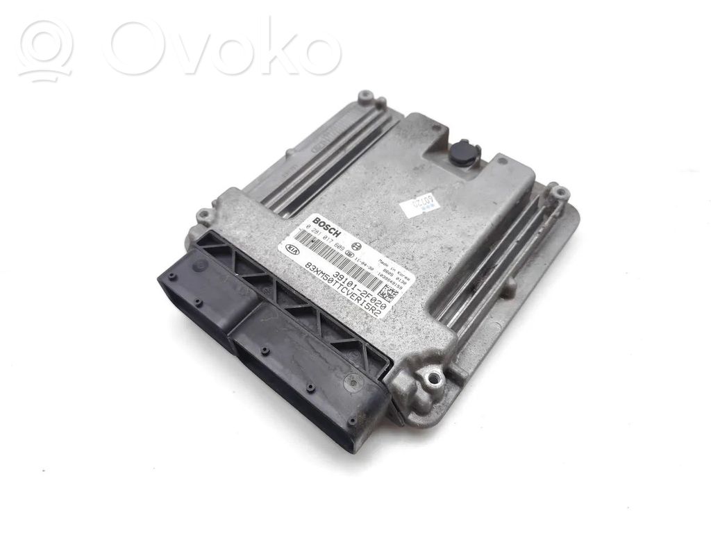 KIA Sorento Engine control unit/module 