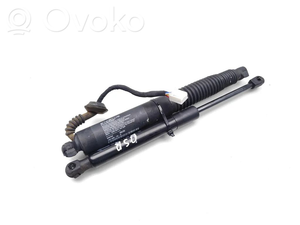 Tesla Model 3 Tailgate/trunk strut/damper 