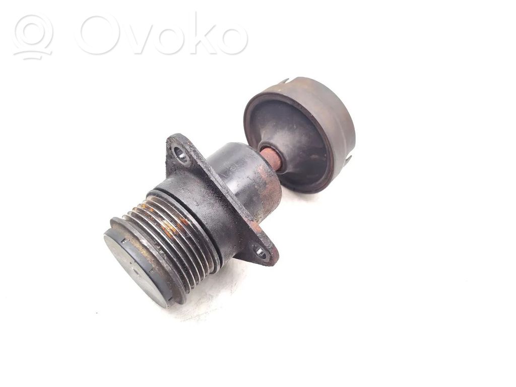 Alternator pulley