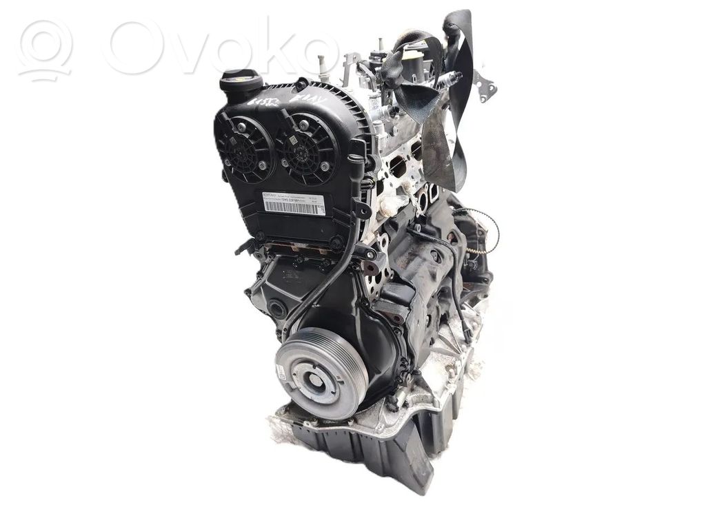Motor   DMSA