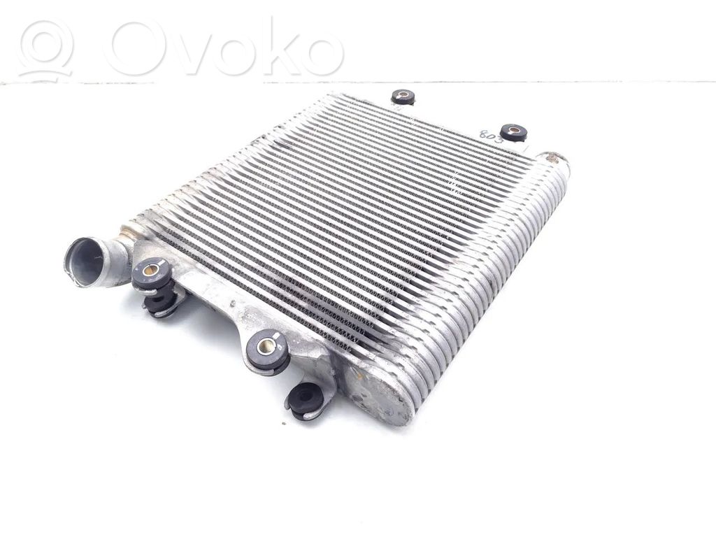 Isuzu Rodeo Radiatore intercooler 