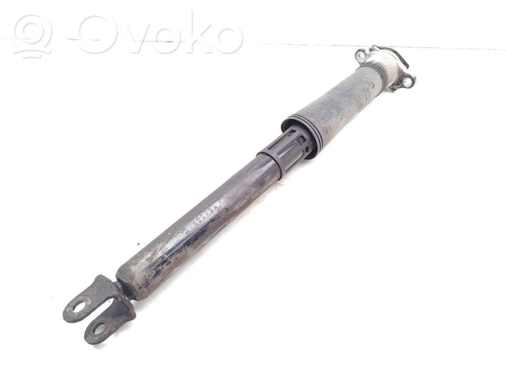 BYD Dolphin Amortizor spate 