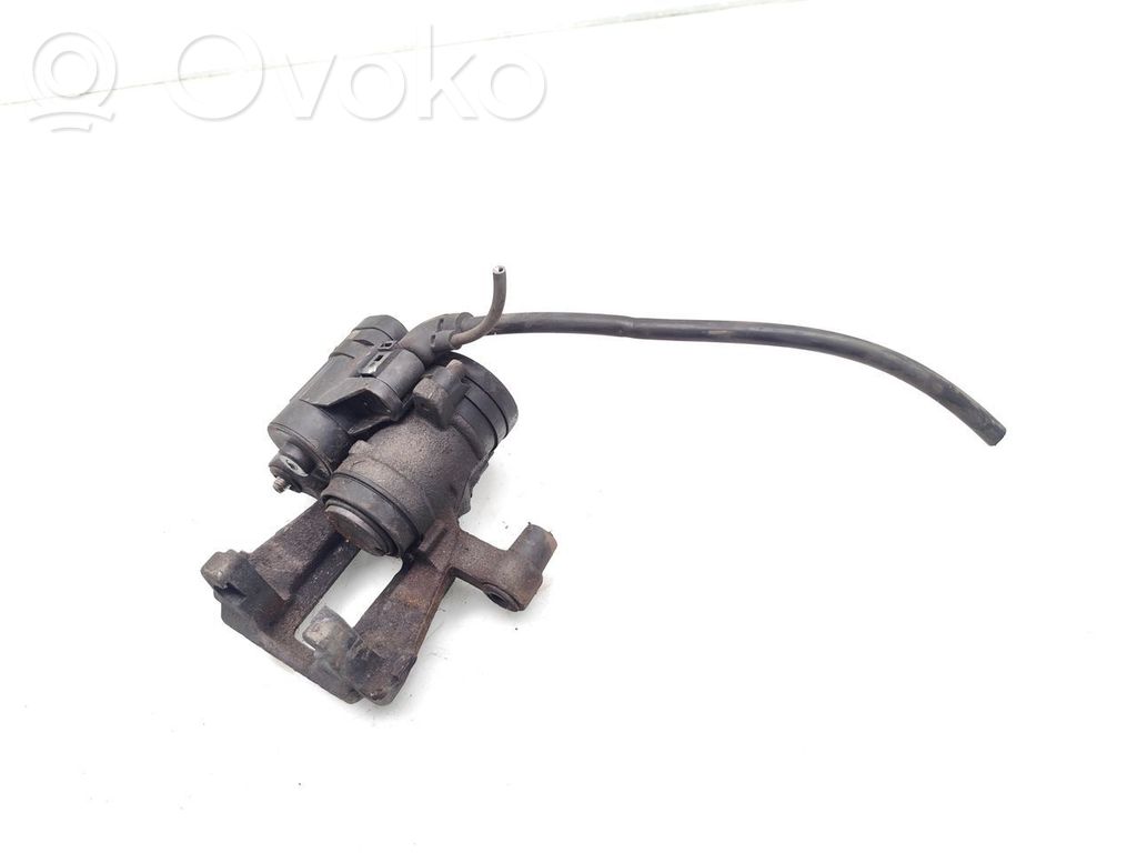 Takajarrusatula   5R3615405A