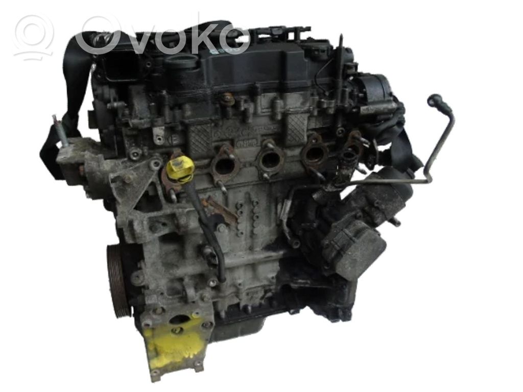 Ford Focus Motor 