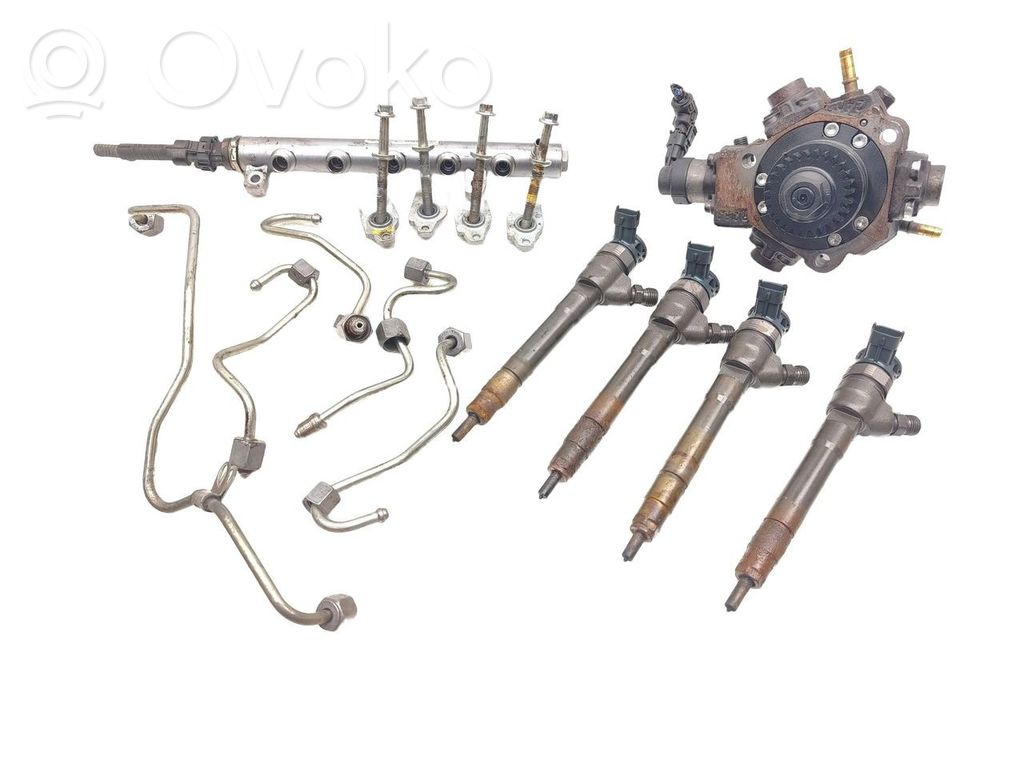 Nissan Qashqai Fuel injection system set 