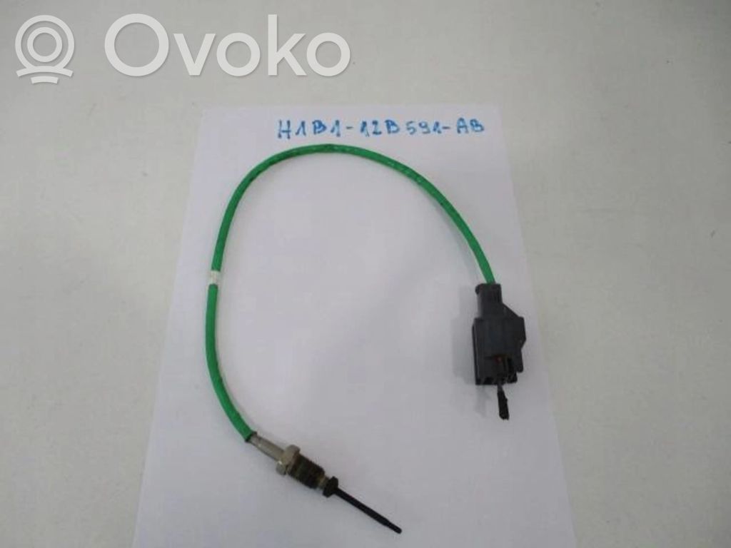 Ford Fiesta Izplūdes gāzu temperatūras sensors 
